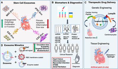 Nano-Messengers of the Heart: Promising Theranostic Candidates for Cardiovascular Maladies